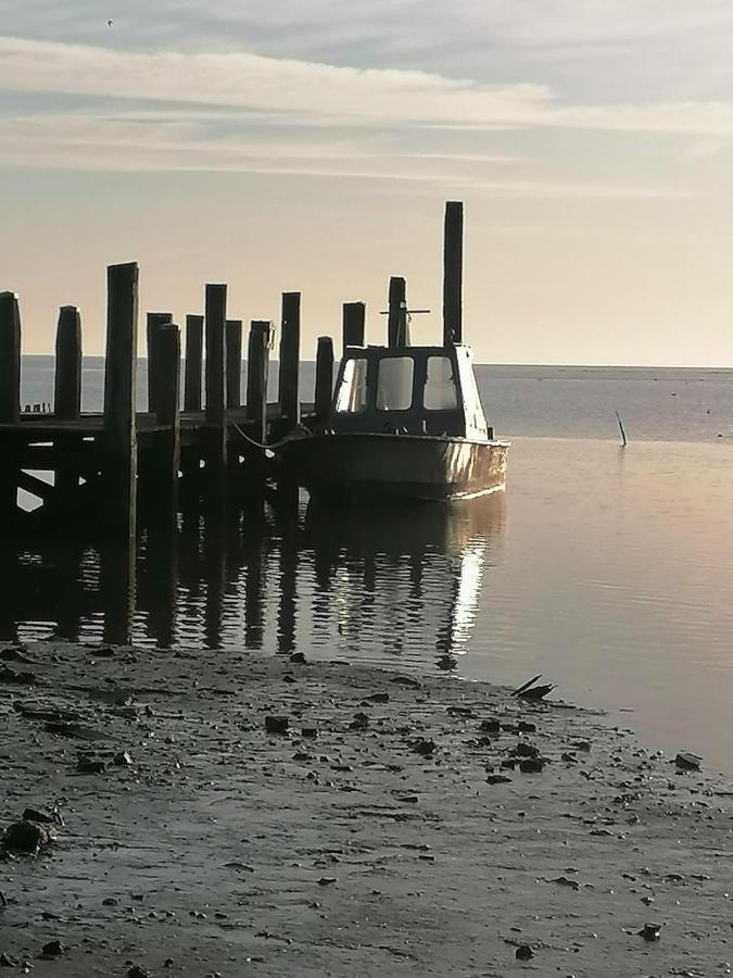 Dock10Texel Acomodação com café da manhã De Cocksdorp  Exterior foto